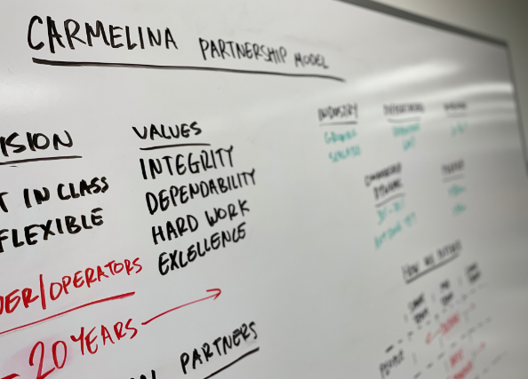 carmelina-key-investment-criteria